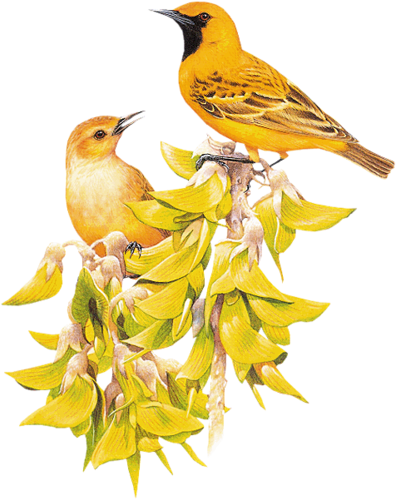 őszi állatok_8.png